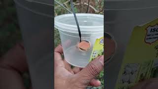 ਕੱਦੂ ਜਾਤੀ ਦੀਆਂ ਸਬਜੀਆਂ ਦਾ ਫਰੂਟ ਫਲਾਈ ਟਰੈਪ Cucurbits Fruit Fly Trap