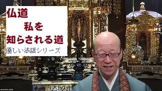 仏道　私を知らされる道　優しい法話シリーズ　そうだお坊さんとお茶しようオンライン#浄土真宗#親鸞聖人#本願寺#善了寺#南無阿弥陀仏