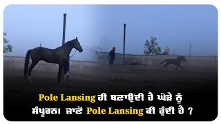 Pole Lansing ਹੀ ਬਣਾਉਂਦੀ ਹੈ ਘੋੜੇ ਨੂੰ ਸੰਪੂਰਨ। ਜਾਣੋ pole Lansing ਕੀ ਹੁੰਦੀ ਹੈ?