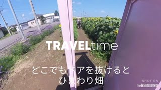 【米内沢】どこでもドアを抜けるとそこはひまわり畑