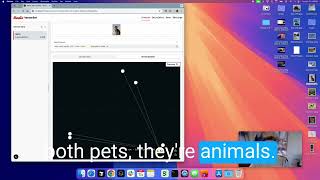 Vector Sets & Browser