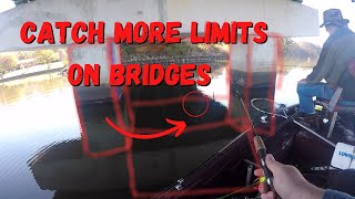 Beginner Bridge Fishing | Crappie Fishing In-Depth