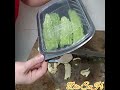 paano mapanatiling fresh ang ampalaya👉 panoorin tutorial fypyoutube satisfying