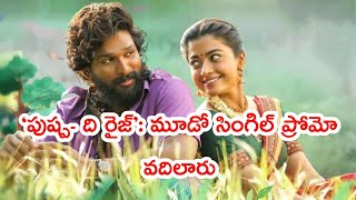 ‘పుష్ప- ది రైజ్’: మూడో సింగిల్ ప్రోమో వదిలారు | #pushpa movie songs  updates