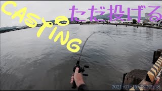 シーバス挑戦　ただ投げるだけ　愛知県蒲郡市某所　釣り　Sea bass challenge casting 2021.7.15