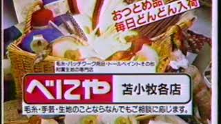 日専連ガイドetc（1996年）