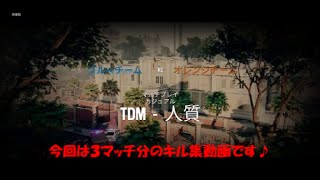 RAINBOWSX SIEGE レインボーシックス・シージ　３マッチ分キル集！　キル集動画Part１