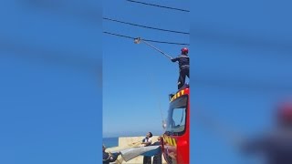 Cat walks tight rope and narrowly escapes death