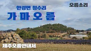 265. (2025.1.19) 제주시 한경면 청수리에 위치한 가마오름 탐방로 및 경관 소개