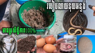 របៀបលាយនុយអន្ទង់មានប្រសិទ្ឋិភាព100%#kanpisith