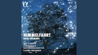 Auf Christi Himmelfahrt allein, BWV 128: I. Chorus \