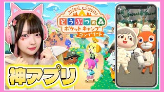 スマホで遊べる！新しくなったどうぶつの森が最高に楽しい！🌳🍎【どうぶつの森ポケットキャンプコンプリート】【たまちゃん】