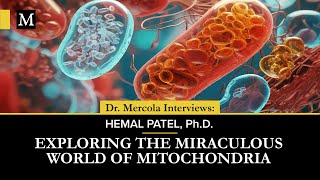 Exploring the Miraculous World of Mitochondria — Interview With Hemal Patel, Ph.D.