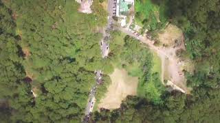 Pinus Insularis(Green Everywhere) - Baguio City Flight