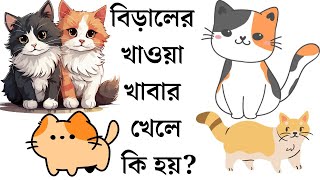 বিড়ালের খাওয়া খাবার খেলে কি হয়?  #বিড়াল #বিড়াল_পালন