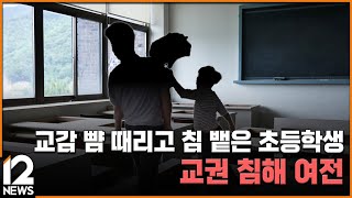 교감 뺨 때리고 침 뱉은 초등학생…교권 침해 여전 / EBS뉴스 2024. 06. 05