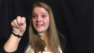 Visual Phonics Video Assignment