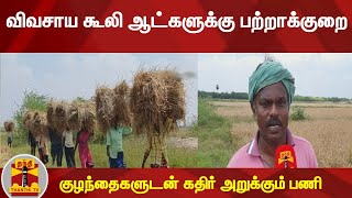 விவசாய கூலி ஆட்களுக்கு பற்றாக்குறை - குழந்தைகளுடன் கதிர் அறுக்கும் பணி | Farmers