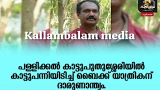 പള്ളിക്കൽ കാട്ടുപുതുശ്ശേരിയിൽ  കാട്ടുപന്നിയിടിച്ച് ബൈക്ക് യാത്രികന് ദാരുണാന്ത്യം.