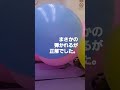 実験！！36インチ風船ダイブ 風船 巨大風船 balloon