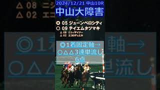 中山大障害予想（2024年12月21日中山10R）