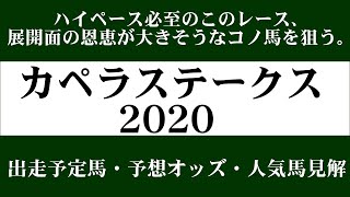 【ゼロ太郎】「カペラステークス2020」出走予定馬・予想オッズ・人気馬見解