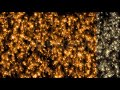 shiny glitter particles stock motion graphics