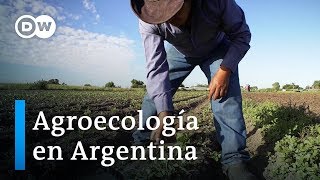 Los guardianes de la tierra