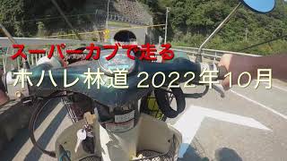 スーパーカブで走る ホハレ林道 2022年10月