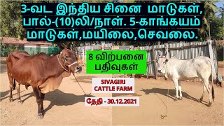 8 விற்பனை பதிவுகள்.3-வட இந்திய சினை  மாடுகள்,பால்-(10)லி/நாள்.5-காங்கயம் மாடுகள்,மயிலை,செவலை.