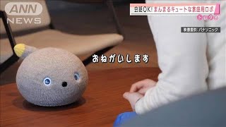 会話もOK！巣ごもり生活に癒し…まんまる家庭用ロボ(2021年2月23日)