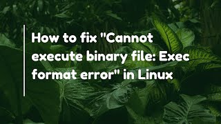 How to fix "Cannot execute binary file: Exec format error" in Linux