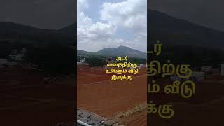 அடர் வனம்