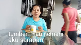 tumben mau nemeni saya sarapan