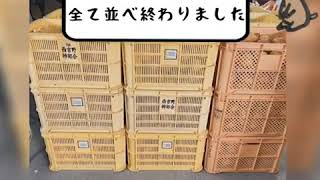 《カッコいい農業と柿》雨の日の収穫 Part3