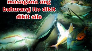 EP263 MASAGANA ANG BAHURANG ITO DIKIT DIKIT SILA NIGHT SPEARFISHING