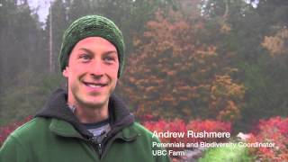 Rewilding Vancouver: UBC Farm