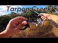 Fishing HIDDEN CREEK For TARPON