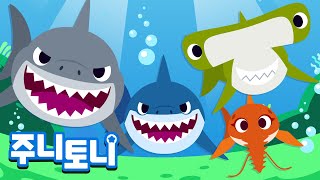 [Eng sub] 🦈상어 총출동 | 뾰족뾰족 이빨! 무서운 상어들이 모두 모였어요! | 샤크송 | 상어가족 | 바다동물동요 | 어린이 자연 교육 |  주니토니 by 키즈캐슬