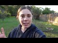 planting an australian native garden 🌿 easy low maintenance gardening using nsw native plants