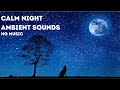 2 Hours Peaceful Night Ambient Sounds - Relax, Study, Sleep - Peaceful Nature Sounds - No Music