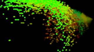 Processing minim test