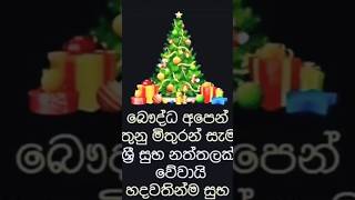 2024 අවසාන මාසයේ 25 වන දින ජේසු බිලින්දගේ උපත සමරන කිතුනු බැතිමතුන් සාමය හා සතුට ලැබෙිවා. #snow