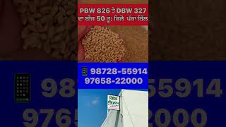 PBW 826 \u0026 DBW 327 wheat varieties 🌾🌾🌾