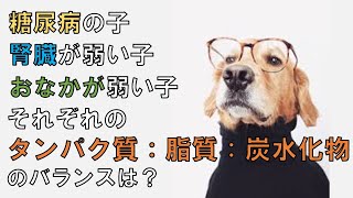 【栄養療法　犬】タンパク質：脂質：炭水化物のバランスについて解説【切り抜き】