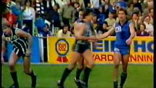 SANFL Sturt V Port 1983. The Unley Massacre Pt2