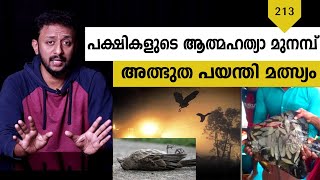 അത്ഭുത പയന്തി മത്സ്യം | പക്ഷികളുടെ ആത്മഹത്യ മുനമ്പ് | Tricks Episode : 213