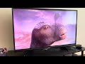Disney Dinosaur (2000) carnotaurus attack