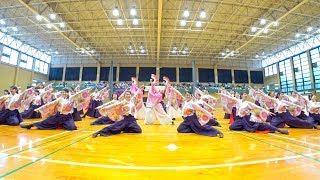 京炎そでふれ！華羅紅 「戀叶華」　はんなりよいしょ祭り2017(広角)