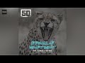 50 Cent -  Irregular Heartbeat (Clean Version) ft. Jadakiss, Kidd Kidd